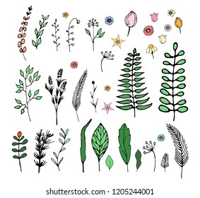 set of wildflowers and twigs