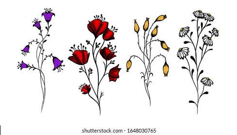 A set of wildflowers. Vector illustration