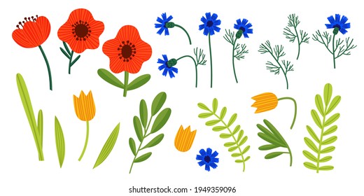 A set of wildflowers. Vector illustration with flowers, tulips, poppies, cornflowers, leaves and plants. Isolated floral elements for the collection of postcard, invitation, greeting card, pattern