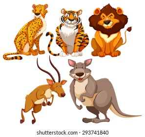 Set of wildlife animals in different position