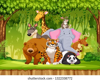 Set of wildlife animals illustration