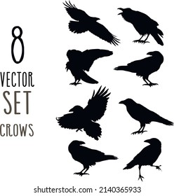 
set wildlife birds raven black outline vector cutting feathers sweep death cemetery mystic magic mascot totem crow predator shaman logo label symbol isolated picture wing animal icon bird design
