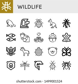 Set of wildlife icons such as Ant, Walrus, Dog, Bed bug, Kangaroo, Earwig, Sardines, Horse, Swans, Monkey, Animal, Eagle, Woodlouse, Bear, Butterfly, Dragonfly, Dolphin , wildlife