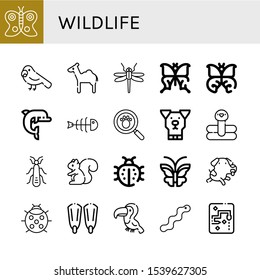 Set of wildlife icons. Such as Butterfly, Parrot, Camel, Dragonfly, Dolphin, Fishbone, Paw print, Dog, Flamingo, Stonefly, Squirrel, Ladybug, Fins, Toucan, Worm , wildlife icons