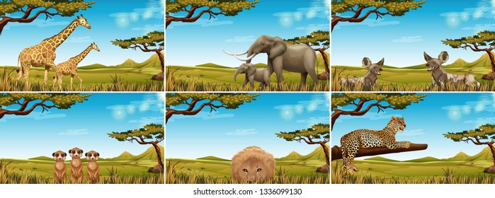 Set Of Wildlife In Savanna Illustration