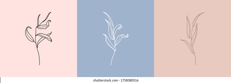 Set of Willow branch with leaves in a trendy minimalistic style. Outline of a botanical design elements. Floral vector illustration. For printing on t-shirts, web design, posters, logo creation