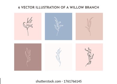 Set of Willow branch with leaves in a trendy minimalistic style. Outline of a botanical design elements. Floral vector illustration. For printing on t-shirts, web design, posters, logo creation