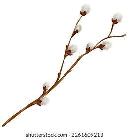 set of willow branches, design element and traditional symbol of the spring religious holiday of Easter