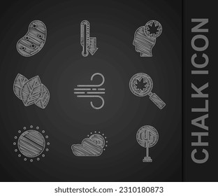 Set Wind, Sun and cloud weather, Tree, Magnifying glass with leaf, Leaf or leaves, Human head and Potato icon. Vector