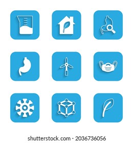 Set Wind turbine, Molecule, Leaf or leaves, Medical protective mask, Bacteria, Human stomach, Stomach with magnifying glass and Laboratory glassware beaker icon. Vector