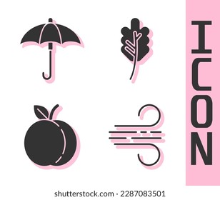 Set Wind, Umbrella, Peach fruit and Leaf or leaves icon. Vector