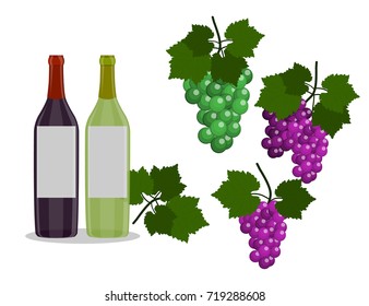 Set of Wine bottles and grapes isolated in the white background. Flat Design Vector Illustration