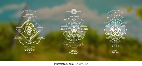 set of wine engraving label with grapes and pattern on horizontal blurred vineyards background