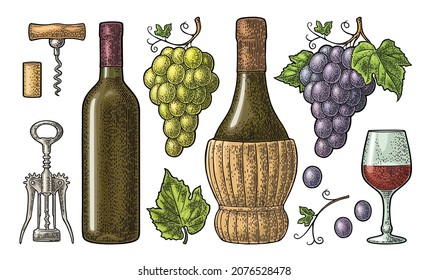 La tienda de vinos. Botella, vidrio, ala y corcho básico, corcho, ramo de uva con baya y hoja. Ilustración vectorial de grabado de color de vintage aislada en fondo blanco