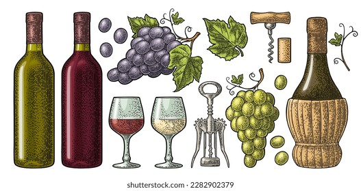 Set for wine shop. Bottle, glass, wing and basic corkscrew, cork, bunch of grapes with berry and leaf. Vintage color engraving vector illustration isolated on white background