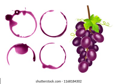 Set of wine stains, circles isolated on white background. Wine texture with shape of circles, vector illustration
