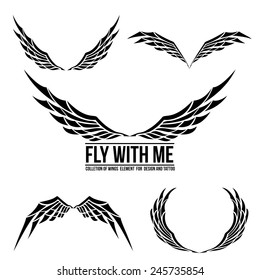 Set of wing emblem element for design vector illustration