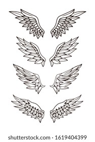 Set of wing illustration design