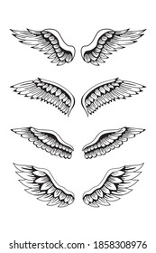 Set of wing vector illustration