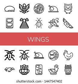 Set of wings icons such as Cloud gate, Chicken breast, Eagle, Heaven, Chicken wings, Cockroach, Chicken, Cupid, Owl, Flying, Seagull, Hen , wings