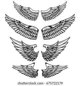 Set of the wings isolated on white background. Design elements for logo, label, emblem, sign, badge. Vector illustration