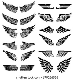 Set of the wings isolated on white background. Design elements for logo, label, emblem, sign, badge. Vector illustration