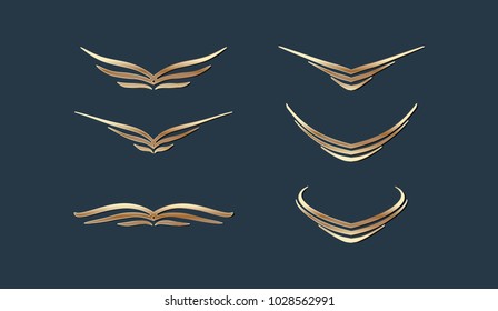 Set of Wings Logo Template Design Vector Illustration Elements
