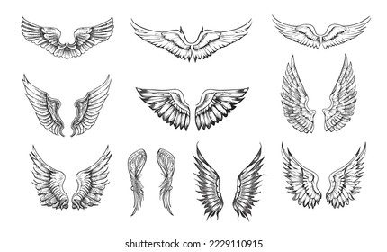 Set of wings sketch hand drawn Vector illustration