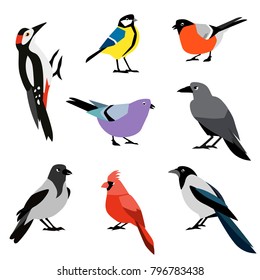 Set of winter birds. Flat design vector birds icon set. Popular birding species collection.