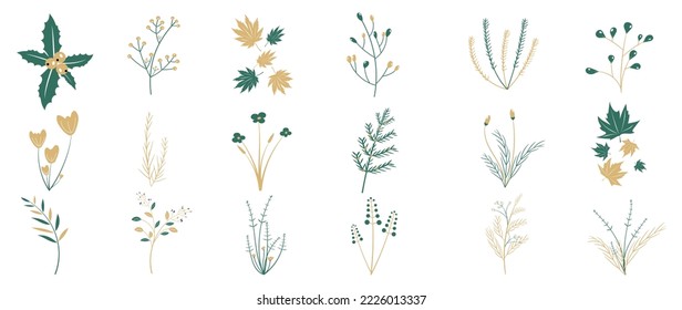 Set of winter botanical leaves on white background. Collection of winter christmas foliage, flower, pine leaf, holly, maples, grass. Design for print, sticker, decoration, card, poster, artwork.