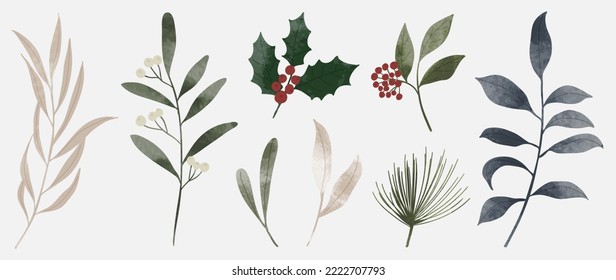 Set of winter botanical watercolor leaf branches background vector illustration. Collection of watercolor winter wild foliage on white background. Design for sticker, poster, banner, card, decoration.