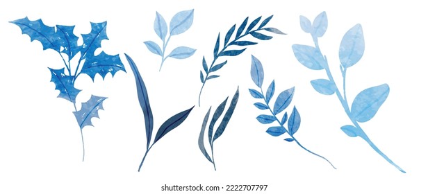 Conjunto de ilustraciones vectoriales de las ramas de color botánico de invierno. Colección de acuarela de invierno silvestre sobre fondo blanco. Diseño para pegatinas, afiches, pancartas, tarjetas, decoración.