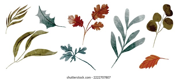 Set of winter botanical watercolor leaf branches background vector illustration. Collection of watercolor winter wild foliage on white background. Design for sticker, poster, banner, card, decoration.