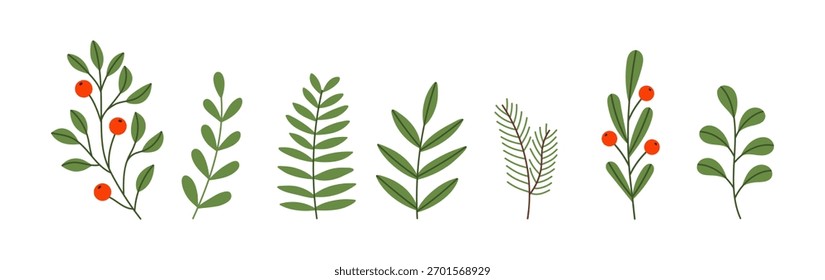 A set of winter Christmas plants.