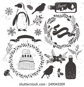 set of winter collection:penguin,bottle,ribbon,hat,snowflake,leaf,flower,floral bouquet,bird,bud,branch