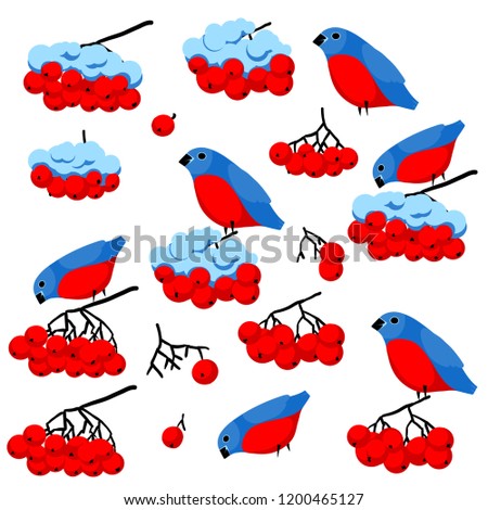 Set of winter elements. Bullfinches, bunch of rowan and snow. Good images for your sesonal design