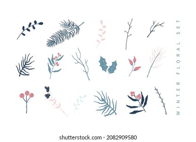 Set von winterfloralen Dekorationselementen mit Kiefer, Blättern, Beeren und Fichte. Handgezeichnet. Vektorgrafik für Winterschmuck.