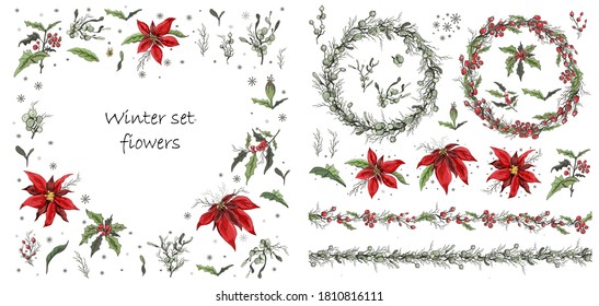 Set of winter flowers, branches and leaves. hand-drawn Botanical doodling in a realistic style. seamless garland with seasonal elements For your ideas, paper greeting cards, posters, advertising.