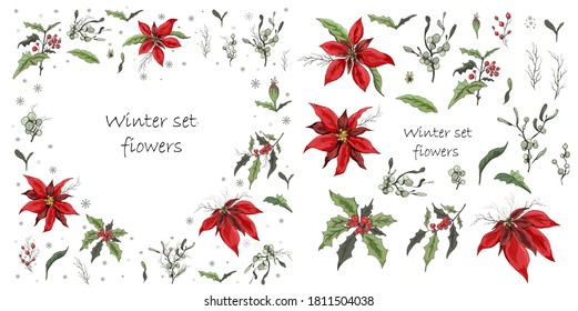 Set of winter flowers (poinsettia, white mistletoe, Holly) isolated on a white background. realistic hand-drawn doodles, colorful ornaments, decorations for seasonal cards, posters, advertising. 