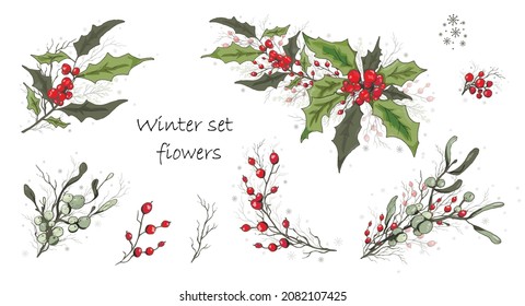 Flores de invierno (poinsettia, mistletoe blanco, Holly) aisladas en un fondo blanco. doodles realistas hechos a mano, adornos coloridos, decoraciones para tarjetas de temporada, afiches, publicidad. Vintage