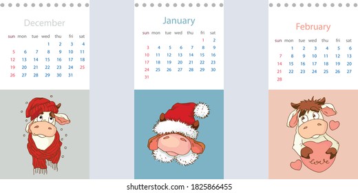 Set from the winter months of 2021. December January February. Calendar with cartoon cute bulls. Editable vector template.