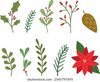 Set of winter plants, berries, flowers. Hand drawn cute floral illustrations for card or banner