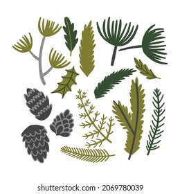 set with winter plants in flat style. spruce twigs, cones, leaves for decoration. vector illustration isolated on white background.