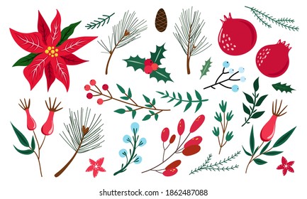 Set of winter plants - Holly, Poinsettia, Pine, Garnet, Rosehip. Traditional Christmas decoration. Leaves, berries, conifer, cone. Vector illustration isolated on white background. Flat cartoon design