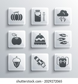 Setzen Sie Winterschal, SchulRucksack, Leaf oder Blätter, Hut, Acorn, Apple, Kürbis und Sturm Symbol. Vektorgrafik