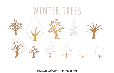 Set of winter trees on white background. Vector illustration