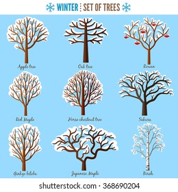 Set Winter Trees On White Background Stock Vector Royalty Free