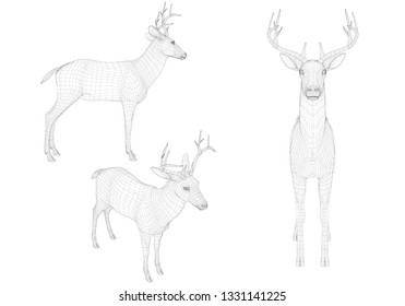 Set with wireframe deer of black lines on a white background. Side, front and isometric view. 3D. Vector illustration
