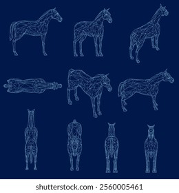 Set wireframe of horses. Side, front, top, back, isometric view. 3D. Vector illustration