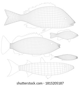 Instalado con armazón de varios peces aislados sobre fondo blanco. 3 D. Ilustración del vector